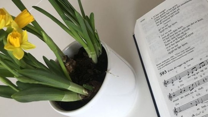 En vase med gule tulipaner og et noterblok med musik.