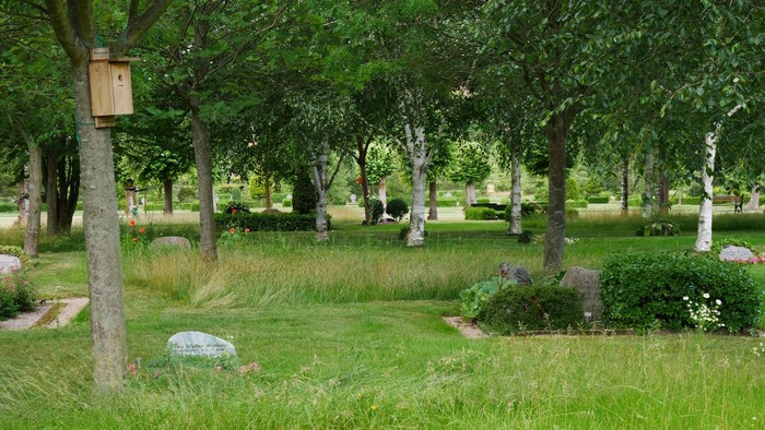 En rolig park med græs, træer og en fugeskab.