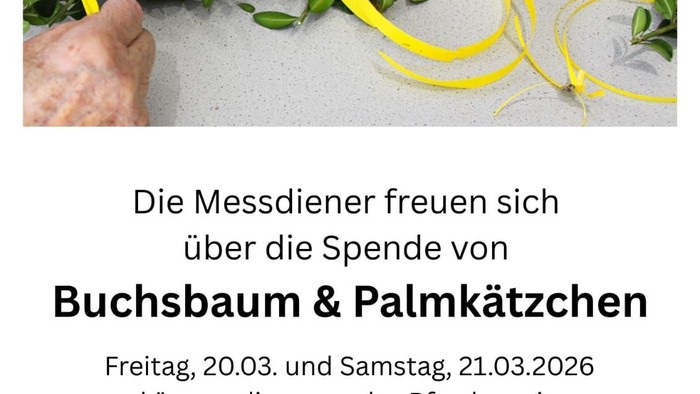 Buchsbaum & Palmkätzchen