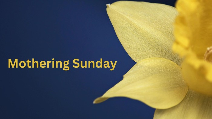 A close-up of a yellow flower with the text