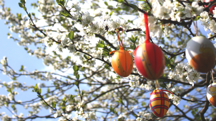 Bunte Ostereier hängen in einem blühenden Baum
