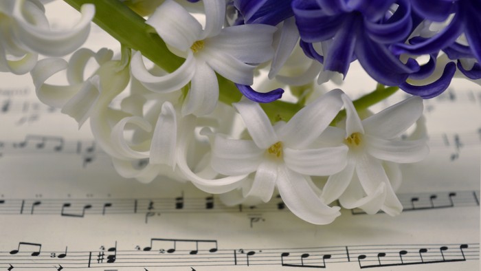 Weiße und lila Hyazinthen auf Notenblatt