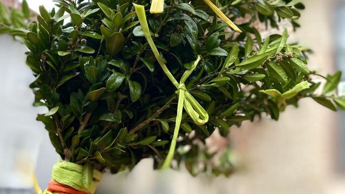 Geschmückter Palmstock für Palmsonntag