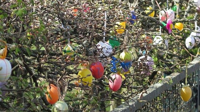 Bunte Christbaumkugeln hängen in einem Baum