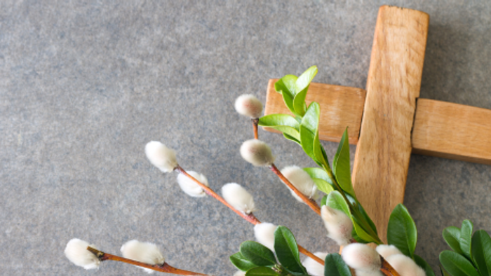 Ein hölzernes Kreuz, geschmückt mit frischen Palmkätzchenzweigen und Knospen auf einer strukturierten Oberfläche.