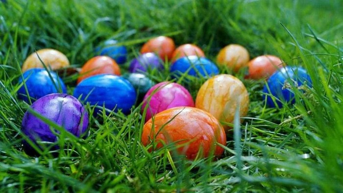Farvede æg i græs