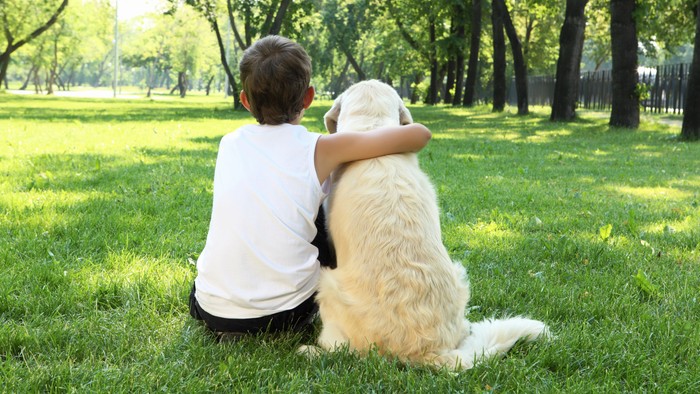 Ein Junge sitzt auf einer Wiese und umarmt seinen Hund, der neben ihm sitzt. Die beiden sind von hinten zu sehen.