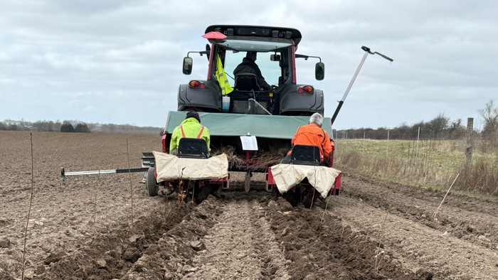 Traktor med efterhængt plantemaskine, hvor der sidder 2 mænd