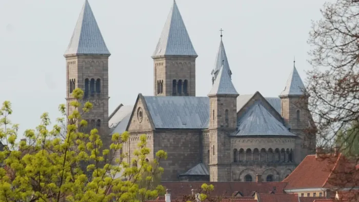 Viborg Domkirke