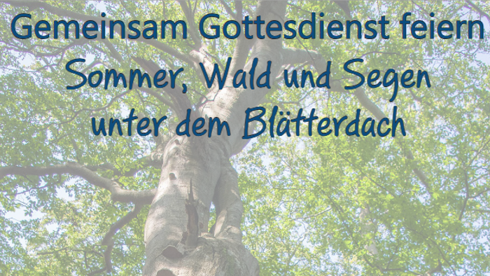 Gemeinsamer Open-Air-Gottesdienst am 14. Juni auf dem Waldspielplatz Klövensteen.