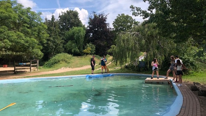 Menschen genießen ein Schwimmbecken, umgeben von üppigem Grün an einem sonnigen Tag.