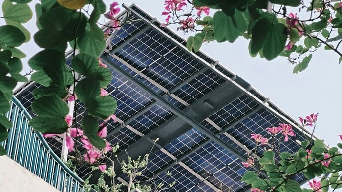 Solarpaneele über Balkon umrankt von blühenden Pflanzen