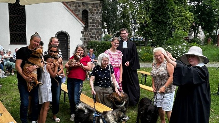 Gruppe von Menschen mit Hunden auf Wiese, Fotograf macht Fotos