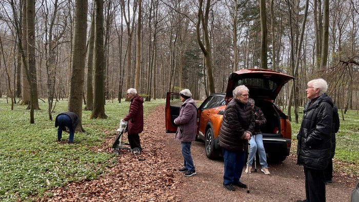 En gruppe ældre mennesker i en skov, som pakker udstyr ved en åben bildør på en løvbelagt sti.