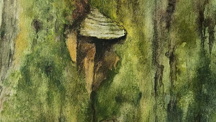 Aquarell einer Baumrinde