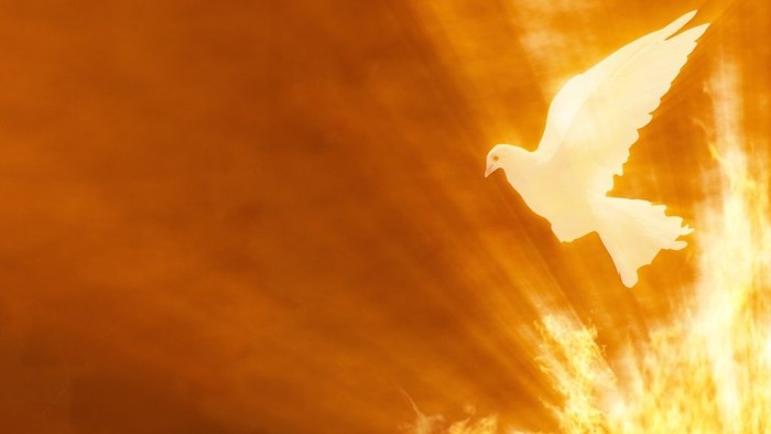 Grafik in rot, orange und gelb. Unten rechts wie Feuer aus dem eine Taube hell hochfliegt. Lichtstrahlen von unten rechts nach oben links. Nach rechts orange und rot eingefärbt.
