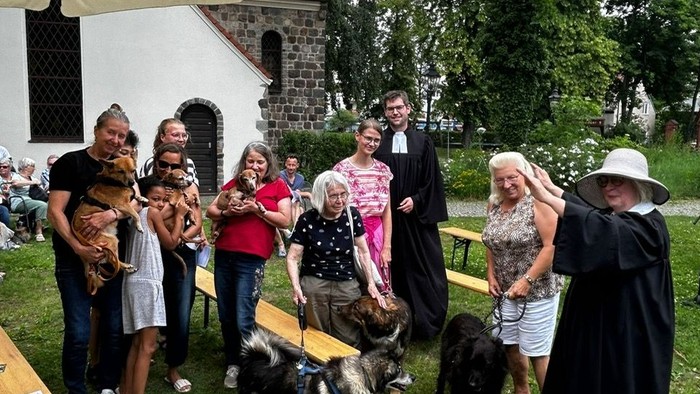 Gruppe von Menschen mit Hunden auf Wiese, Fotograf macht Fotos