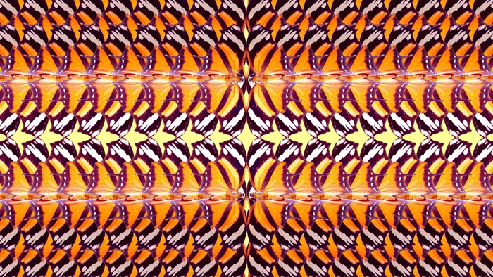 Lebendiges symmetrisches Muster mit sich wiederholenden blattähnlichen Formen in Orange-, Violett- und Weißtönen.