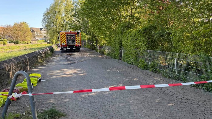 Eine abgesperrte Straße mit Baumaschinen, die neben einem grünen, von Bäumen gesäumten Weg parken.