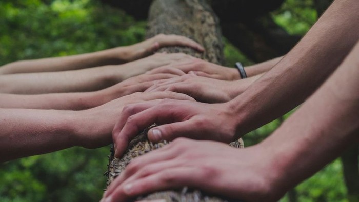 Menschen fassen sich an den Händen um einen Baumstamm in einer gemeinschaftlichen Outdoor-Umgebung.
