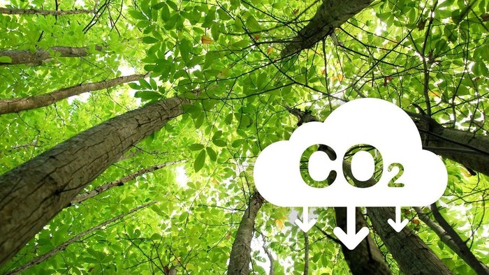 Klimaschutz