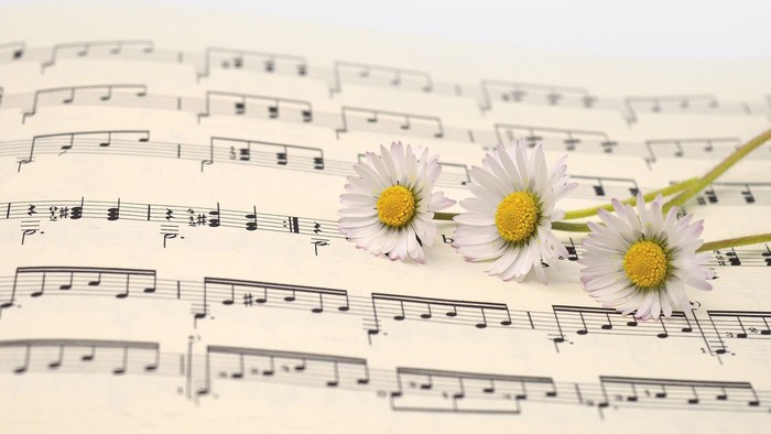 Notenblatt mit drei weißen Gänblumen