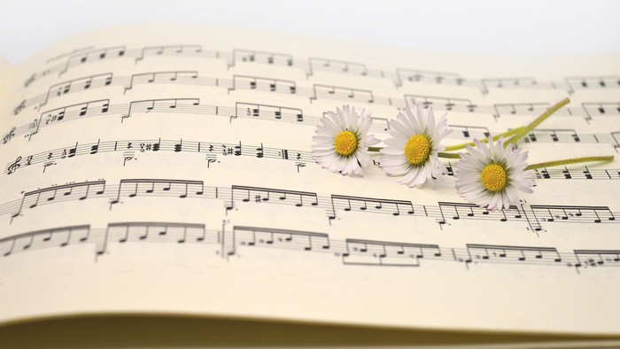 Notenblatt mit drei weißen Gänblumen
