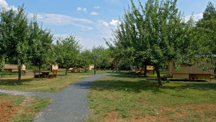 Ein Feldweg schlängelt sich durch einen Obstgarten mit Fruchtbäumen.