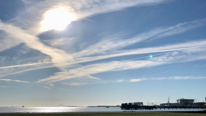 En grøn eng med skibe og en havneby i baggrunden under en solskinnende himmel