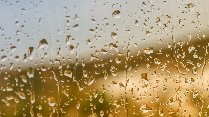 Regentropfen glitzern am Fenster und verwischen den Blick auf eine neblige, goldene Landschaft draußen.