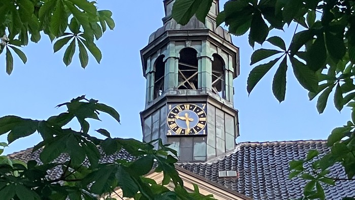 Ein Uhrturm, eingerahmt von grünem Laub vor einem klaren blauen Himmel.