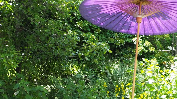 Ein Garten mit blauen Stühlen, einem Holzbank und einem großen lila Regenschirm.