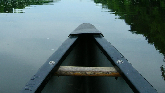 Ein Boot auf einem See, umgeben von Bäumen am Seeraand.