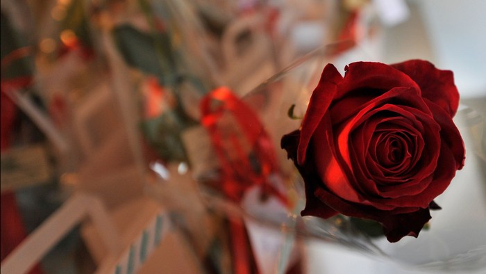 En rød rose i en glasvase med blomster og lys i baggrunden
