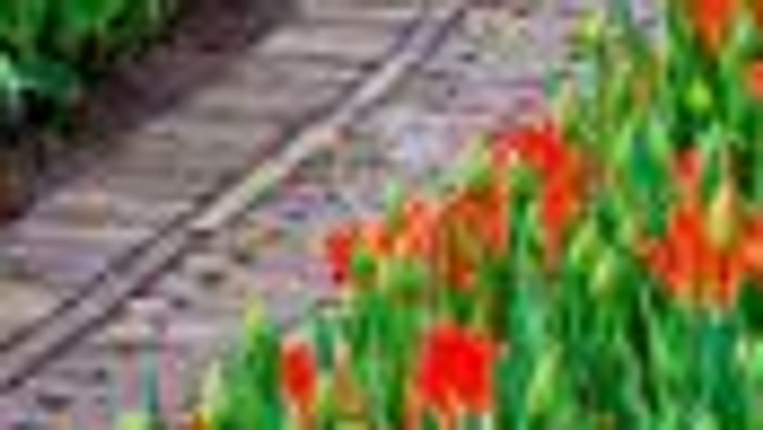 Colorful flower garden with winding path
