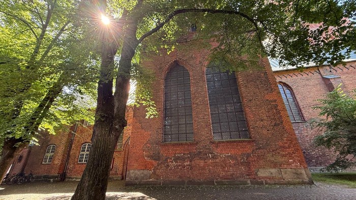 Sonne scheint durch Bäume, im Hintergrund die St.-Aegidien-Kirche.