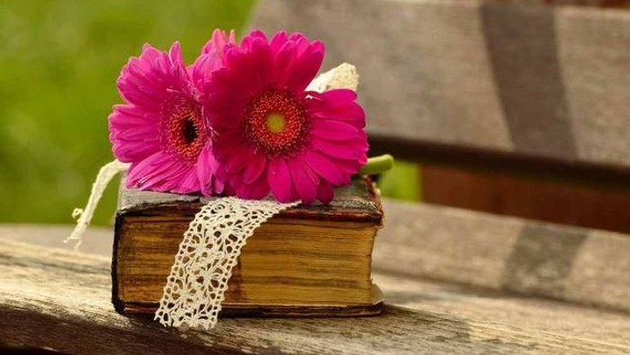 Hellrosa Blumen, mit Spitze gebunden, schmücken ein altes Buch auf einer rustikalen Holzoberfläche.