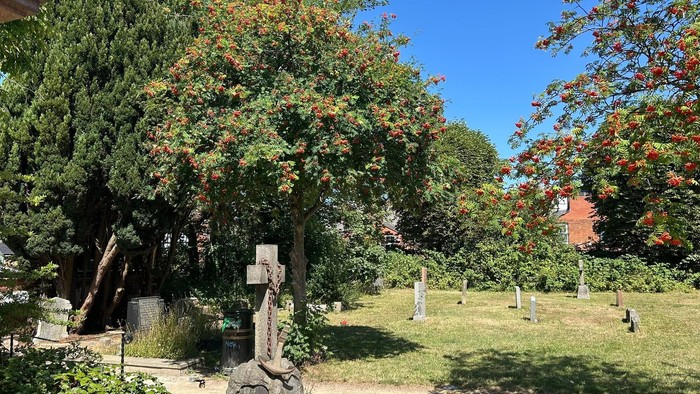 Sunlit cemetery with old gravestones, lush trees, and vibrant autumn foliage under a clear blue sky.