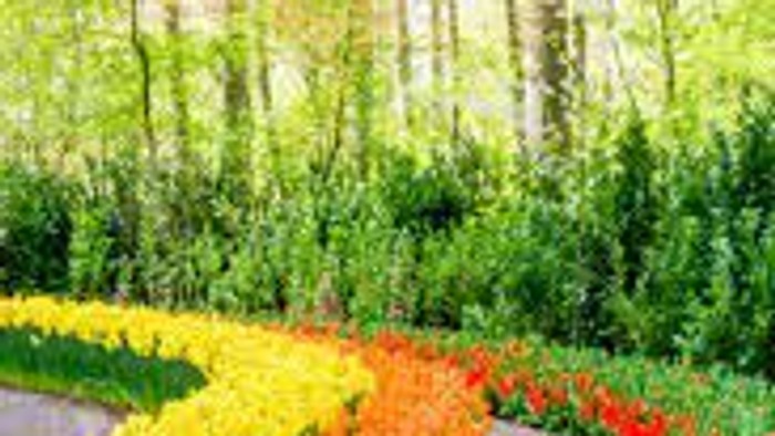 Colorful flower garden with winding path