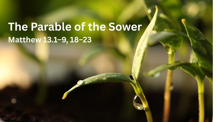 Close-up of young seedlings growing in soil with text about the Parable of the Sower from Matthew 13.