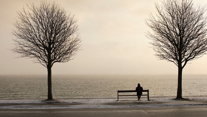 En ensom person sidder på en benk ved stranden med to træer på hver side