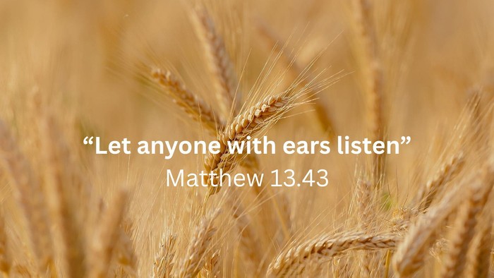 Close-up of wheat field with biblical quote 