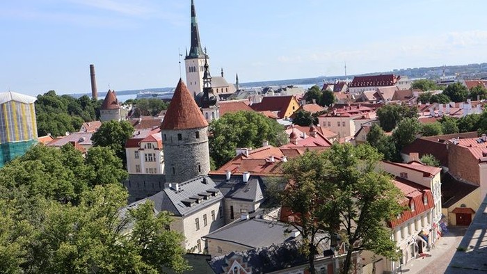 Blick vom Domberg auf die Altstadt Tallinns mit Kirche, Turm und Meer