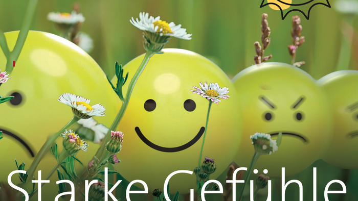 Ein fröhliches Sommerpredigtsplakat mit lächelnden und stirnrunzelnden Zitronen mit Blumen, betitelt *„Starke Gefühle“*.