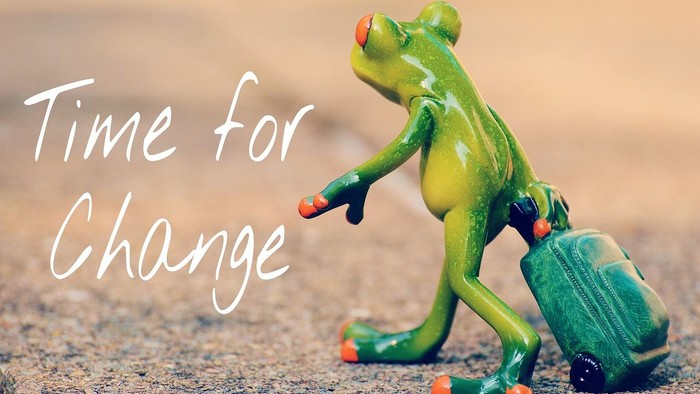 Eine grüne Spielzeug-Frosch zieht einen Koffer, neben dem die Aufschrift „Zeit für Veränderung“ steht.