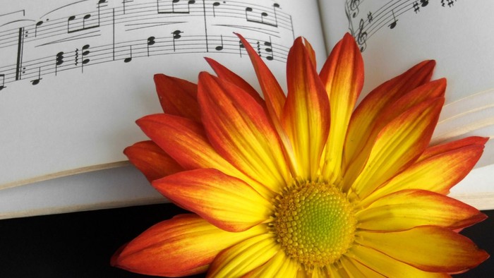 Notenblatt mit einer Sommerblume.