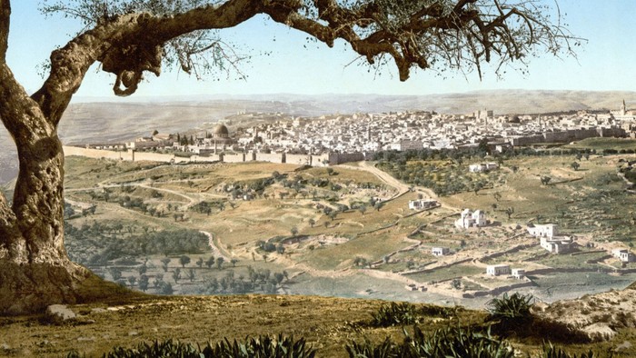 Ein malerischer Blick auf eine hügelige Landschaft mit einem weitläufigen Dorf und einer Küstenstadt, eingerahmt von einem Baumzweig.