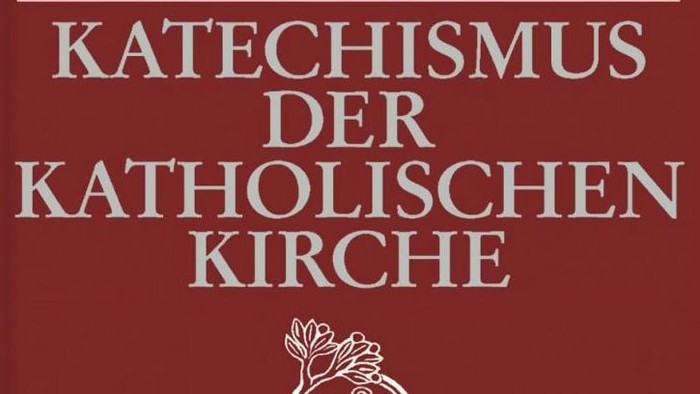 Das Buchcover zeigt den Titel