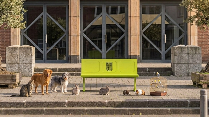 Hunde entspannen auf Stufen vor einem Backsteingebäude mit großen Fenstern und einem gelben Schild.