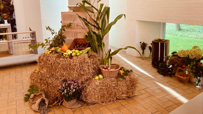 Halmballer, æblekasser majs, blomster mv udsmykning foran prædikestolen i kirkerummet i tornbjerg kirke 